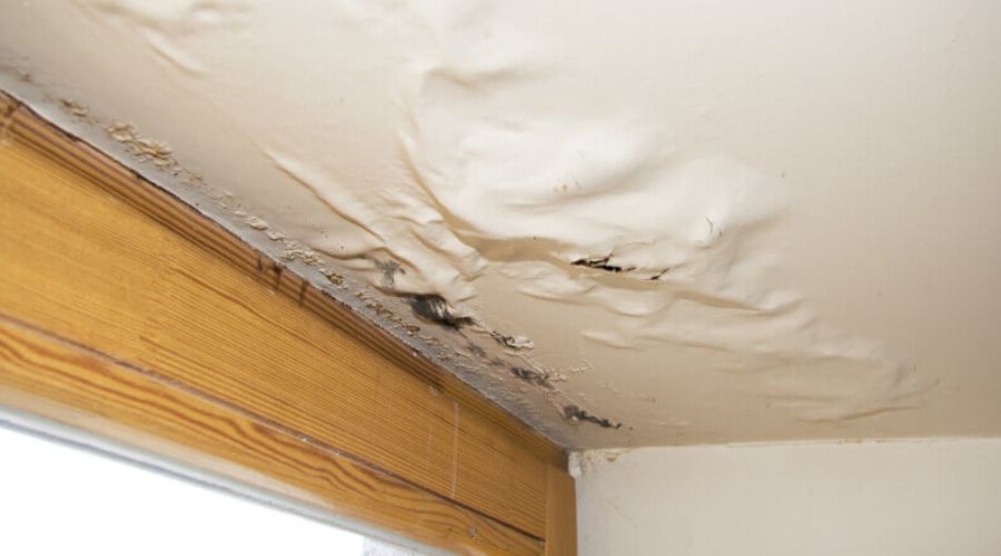 Water-damaged ceiling with visible stains and mold growth, indicating potential plumbing leaks and the need for immediate water leak detection and repair services.